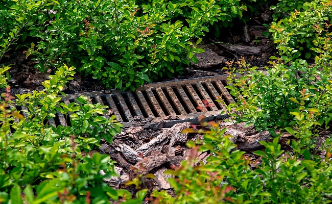 General-drain-problems-draincall